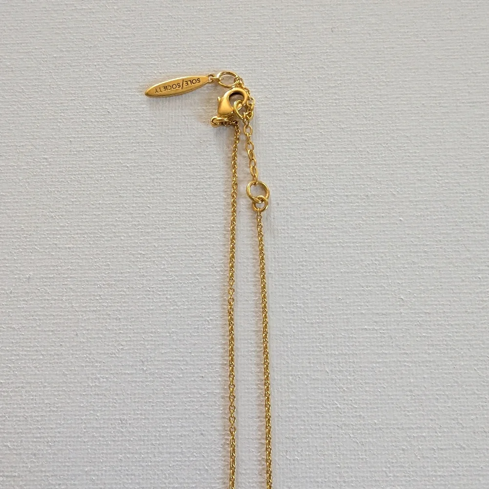Sole Society Necklace - Picture 8 of 9